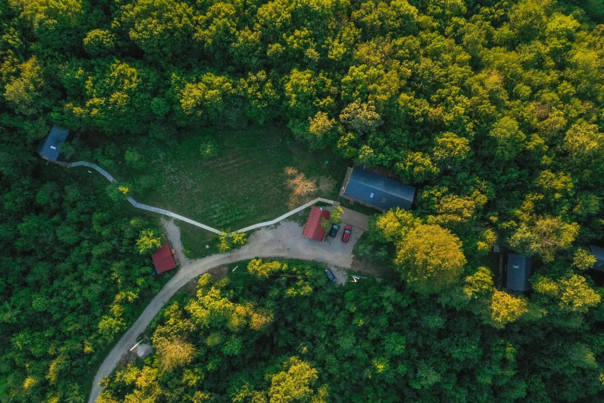 Tree Elements Treehouse Retreat Διαμέρισμα Slunj Δωμάτιο φωτογραφία