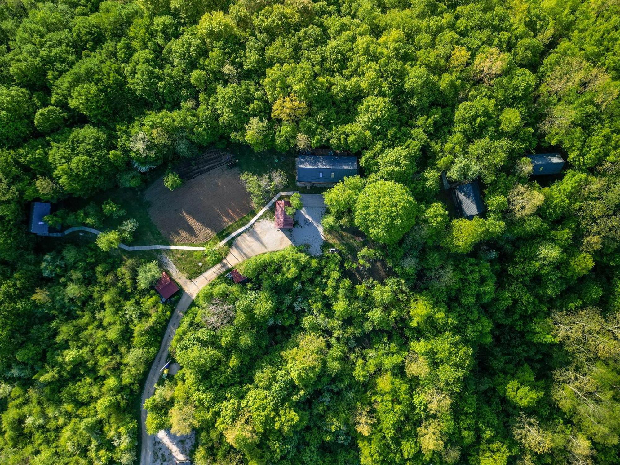 Tree Elements Treehouse Retreat Διαμέρισμα Slunj Εξωτερικό φωτογραφία